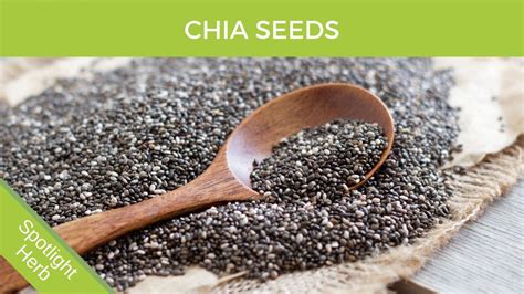 how much omega 3 in chia seeds|salvia hispanica nutrition facts.